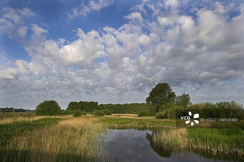 英国萨福克郡莱肯希思RSPB保护区图片素材