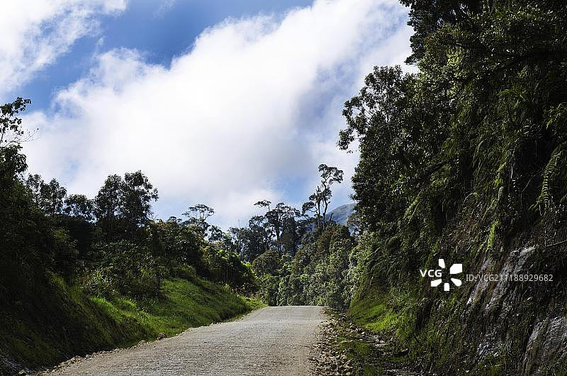 穿过塔里热带雨林的高地公路，巴布亚新几内亚，大洋洲图片素材