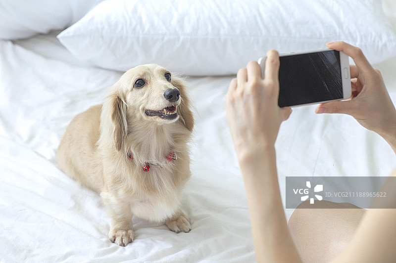 年轻女人和腊肠犬图片素材