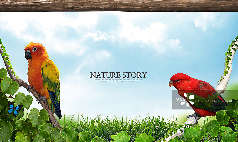 美丽的大自然图片素材