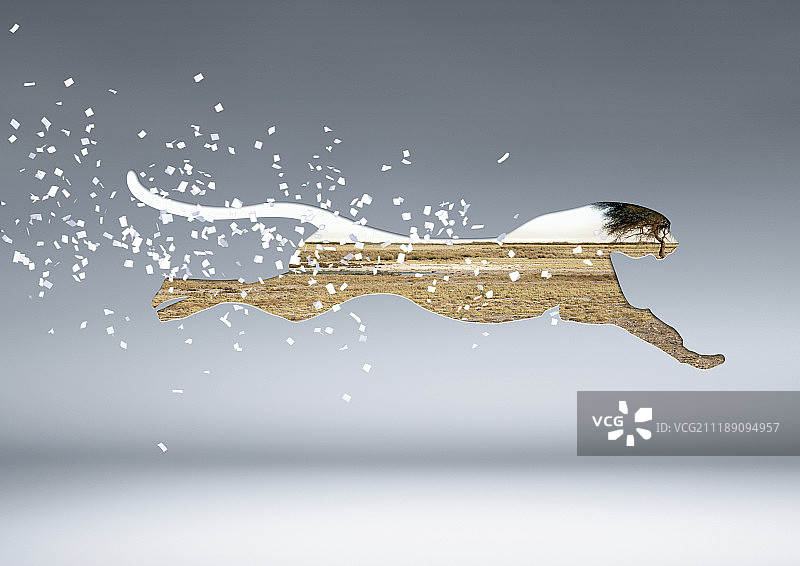 奔跑的猎豹图片素材