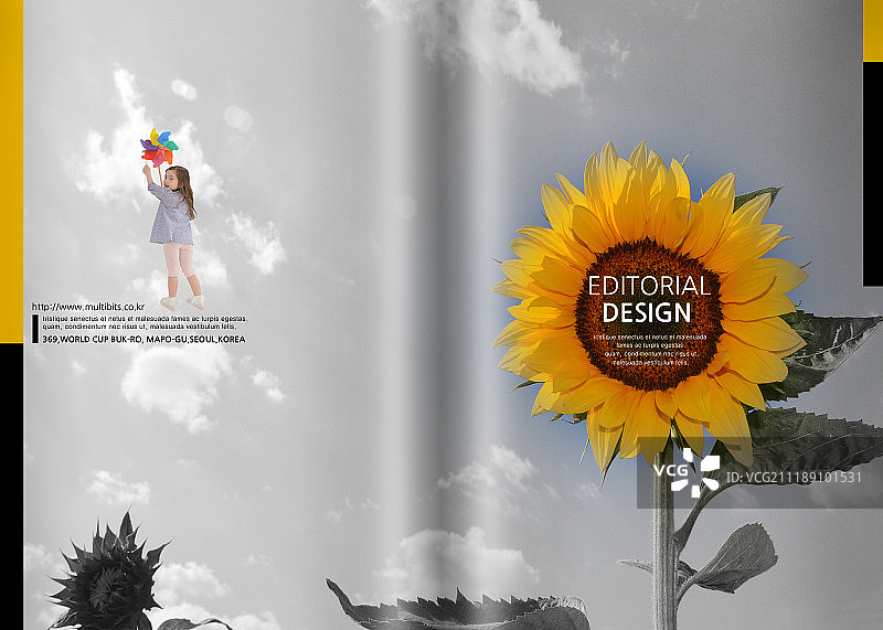 书籍封面编辑图像图片素材