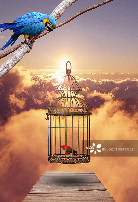 图形图像图片素材