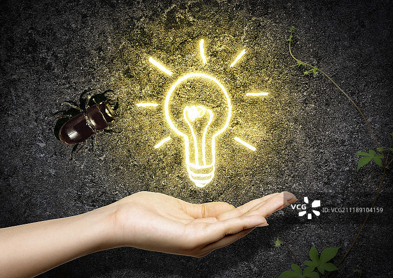 图形图像图片素材