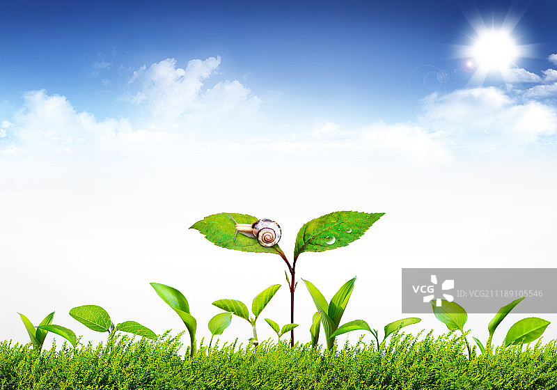 图形设计图片素材