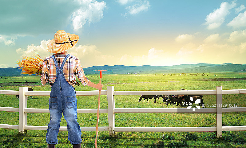 图形图像图片素材