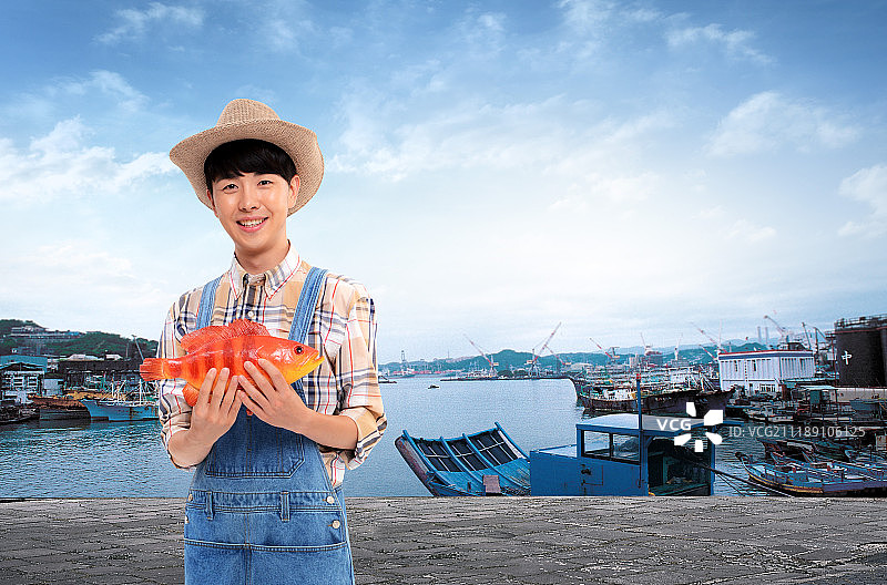 图形图像图片素材