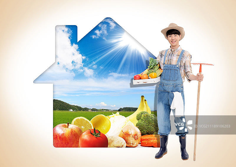 图形图像图片素材