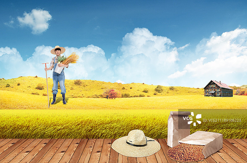 图形图像图片素材