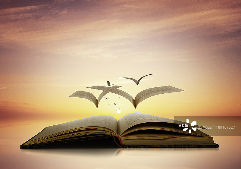 图形图像图片素材