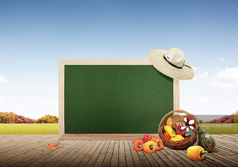 快乐的生活方式图片素材