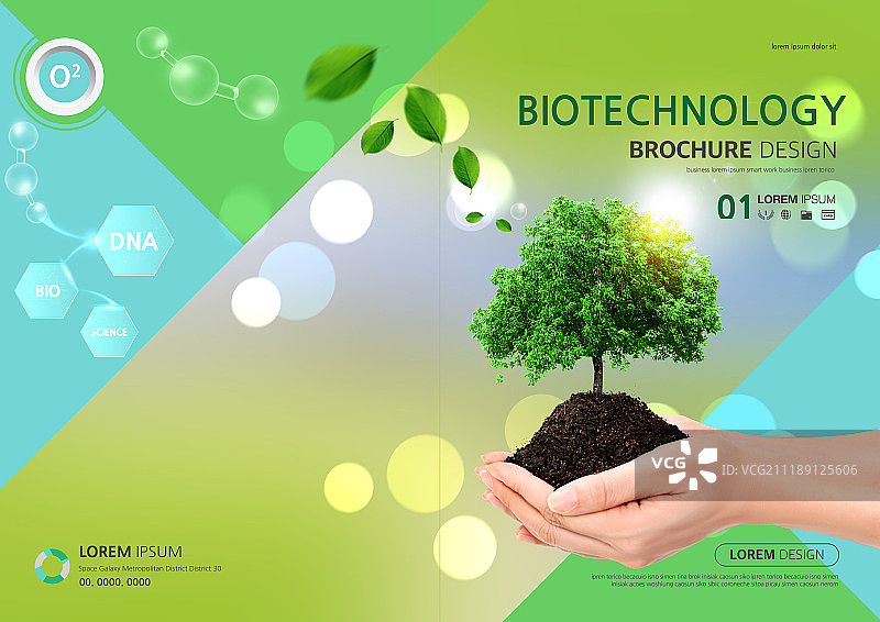 生活方式的书的封面图片素材