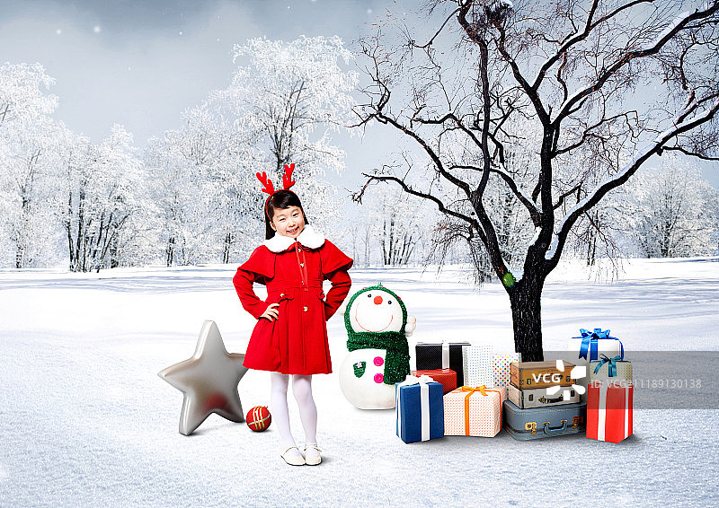 季节树木生活方式图片素材