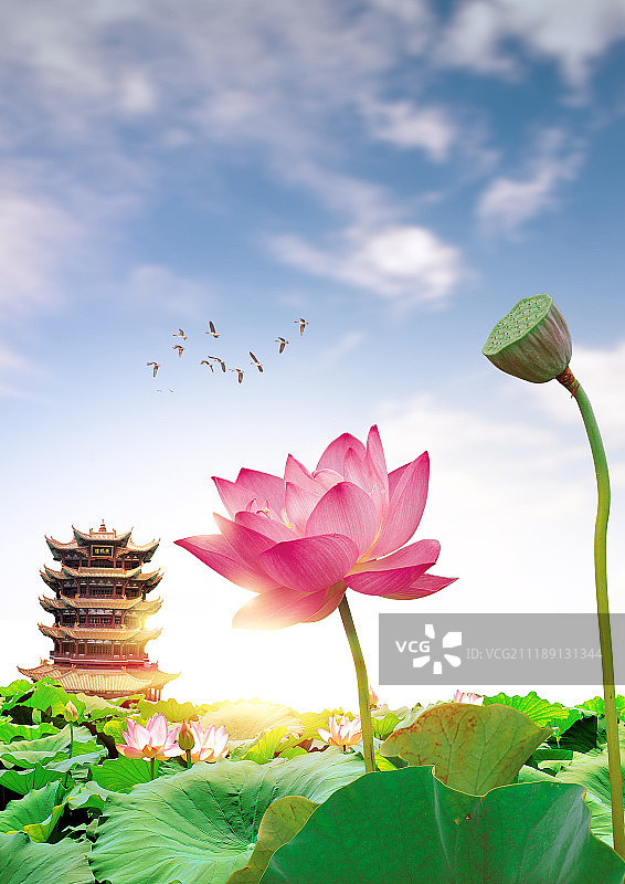 佛诞日图片素材