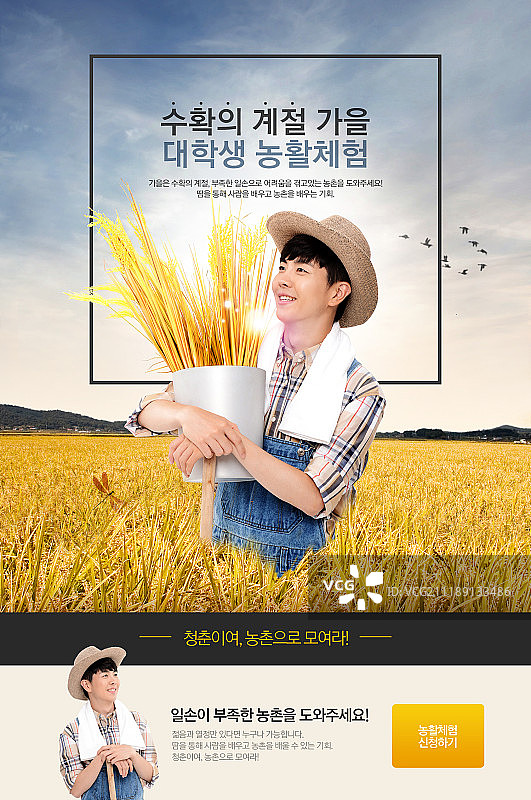 秋季网页模板图片素材