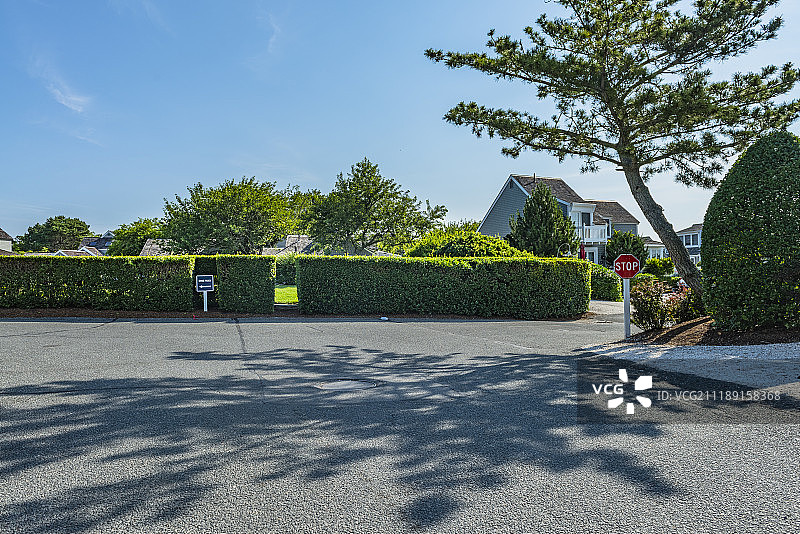 美国木结构房屋住宅街景图片素材