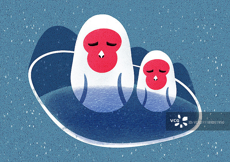 泡温泉的日本猕猴图片素材