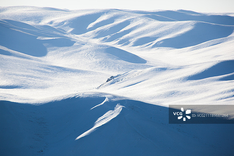 冬天的阿尔山雪原远景图片素材