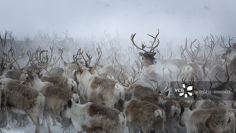 禁止后退图片素材