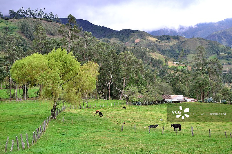 秘鲁万卡班巴图片素材