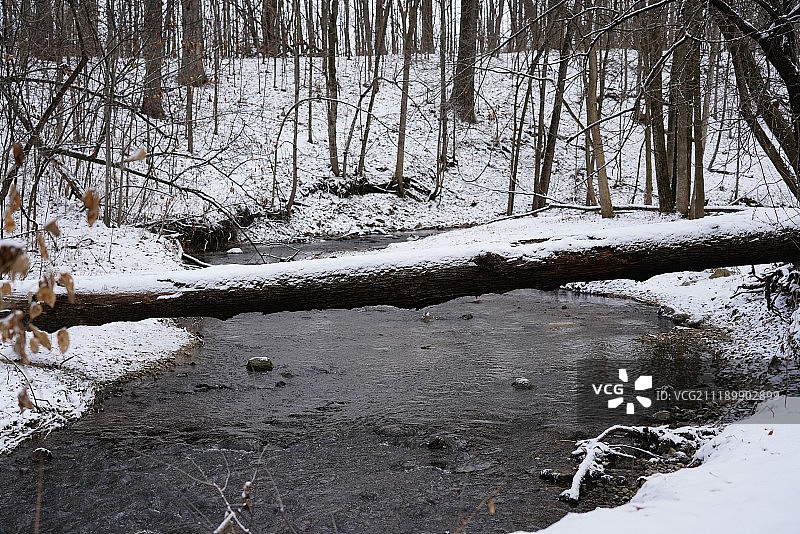 霍布斯森林的冬日景色图片素材