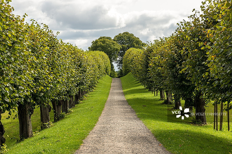 波罗的海的林荫大道图片素材