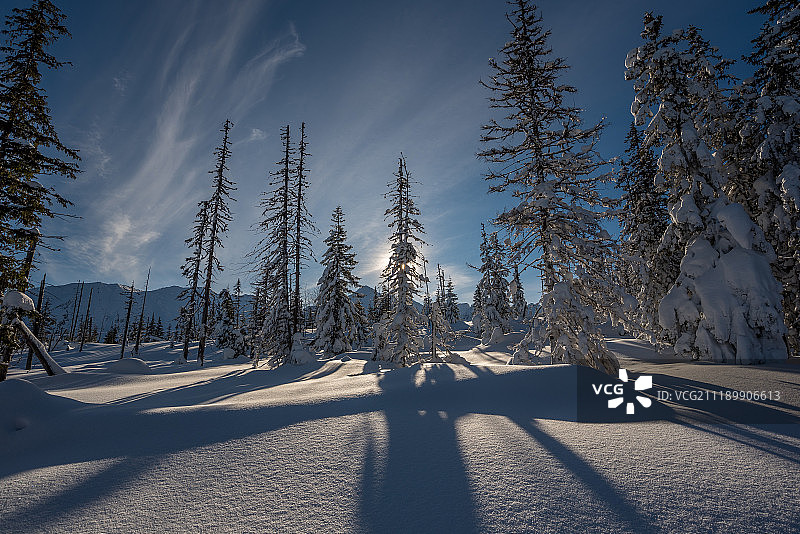 日落时分西塔特拉山大雪与雪树图片素材