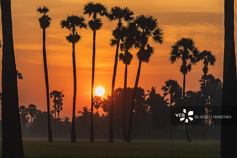早上好图片素材