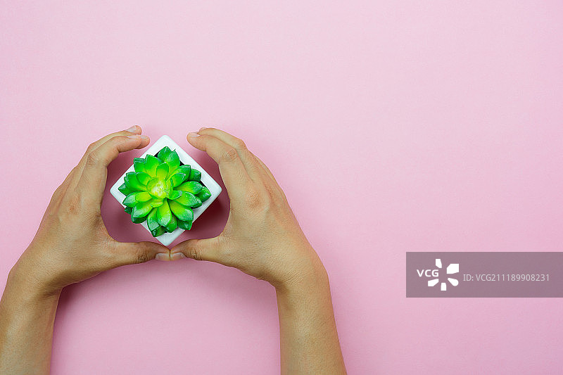 情人节或地球日桌面俯视装饰背景概念图图片素材