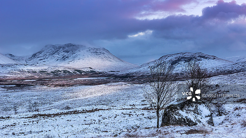 冬季的兰诺克沼泽图片素材