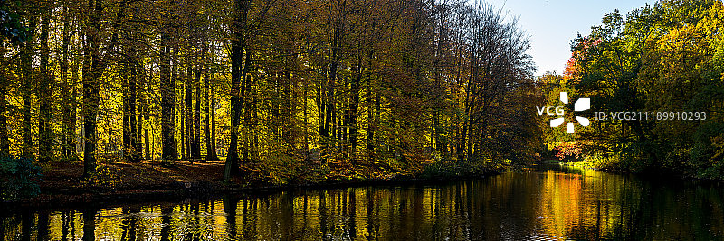 海牙的秋日晨光图片素材