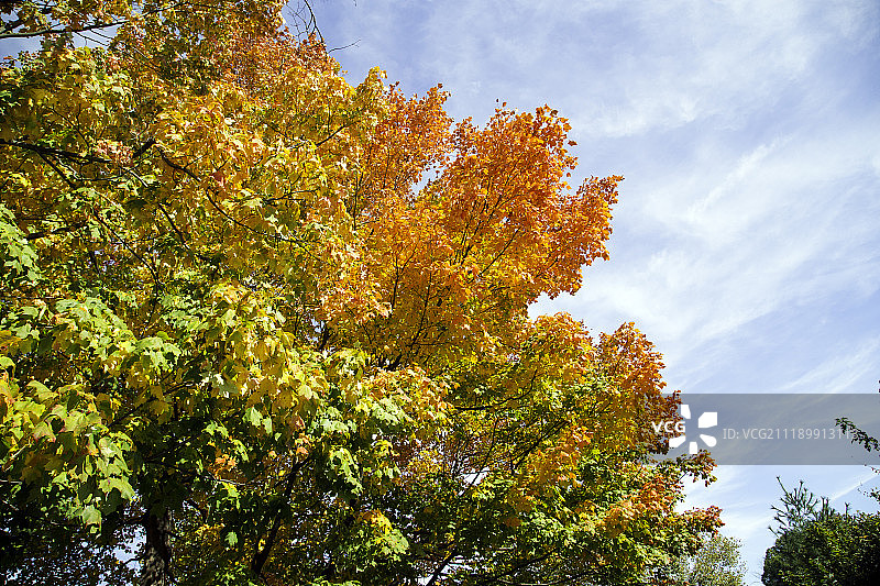 秋日彩虹图片素材