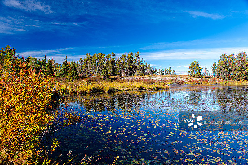 避难所图片素材