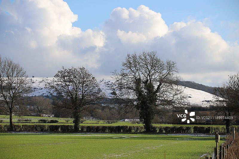 树木风景图片素材