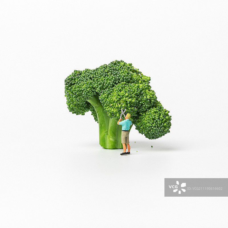 修剪西兰花树木图片素材