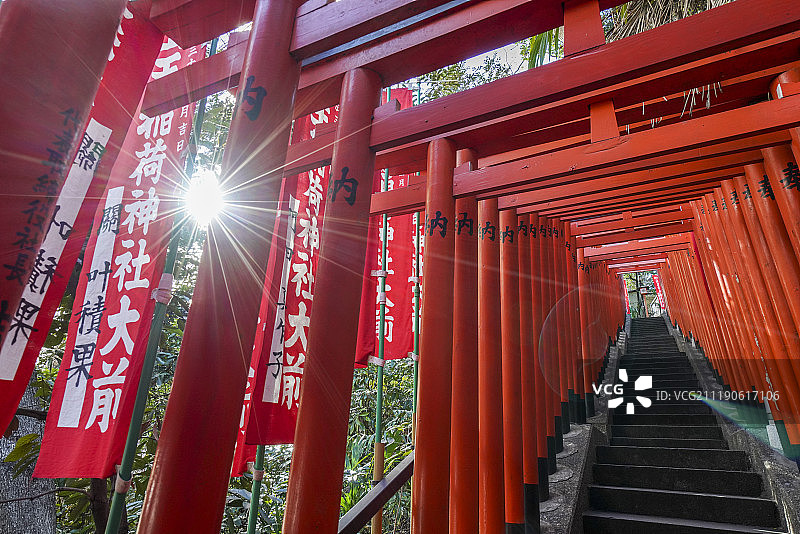 日本东京山王日枝神社鸟居图片素材
