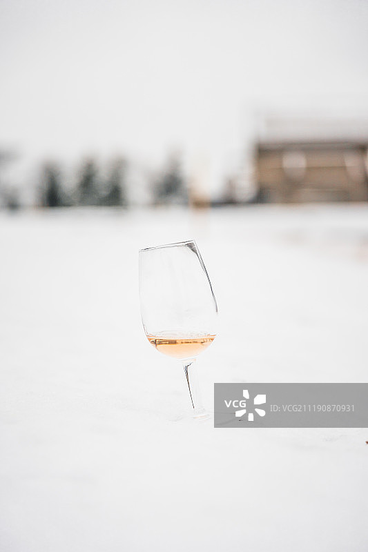 雪地里的酒杯图片素材