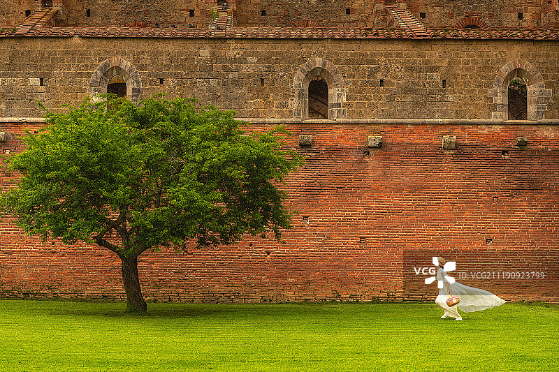 教堂废墟外的花园草坪一角图片素材