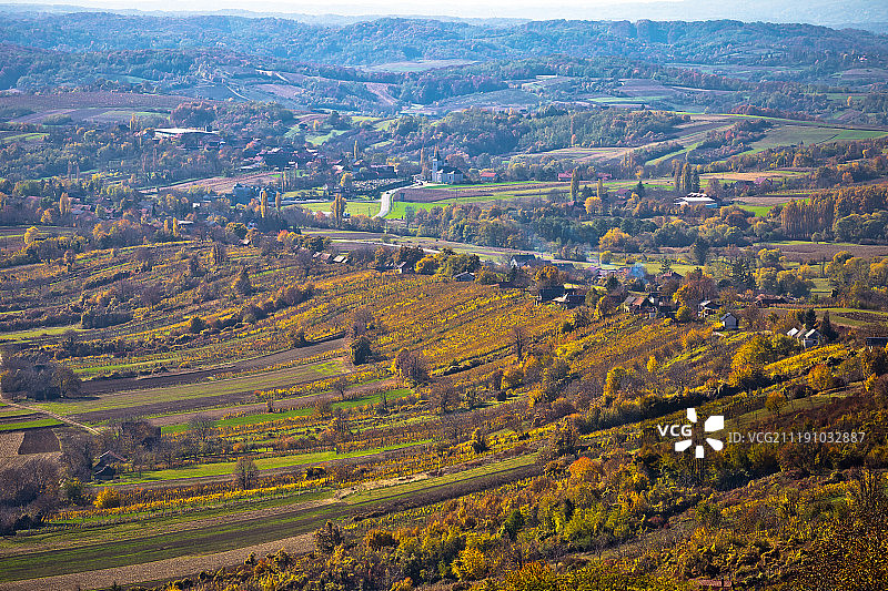 葡萄园地区秋景航拍图片素材