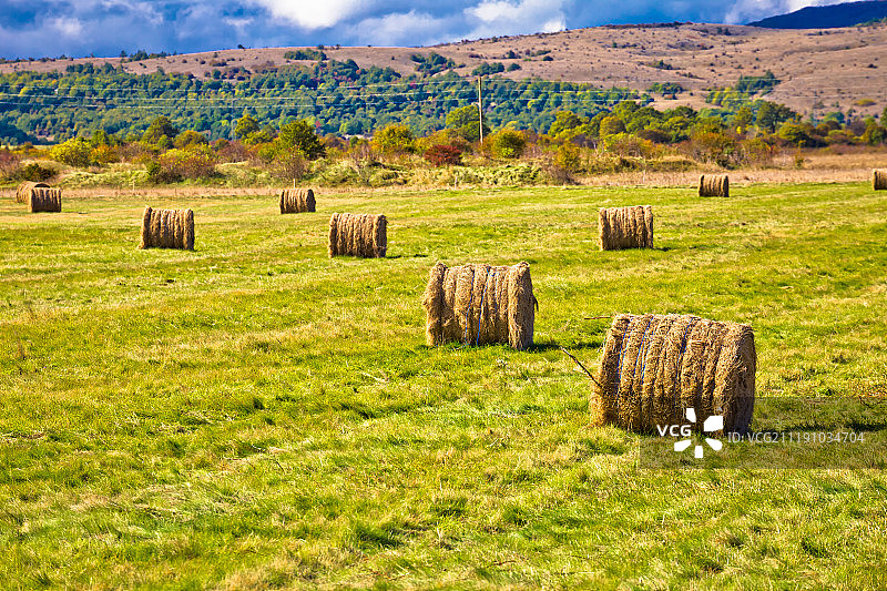 利卡地区的农业景观图片素材