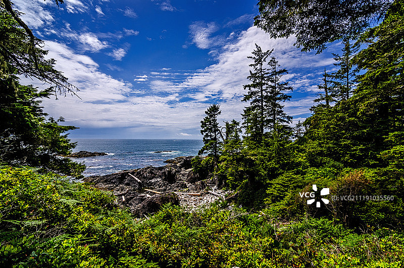 太平洋野径图片素材