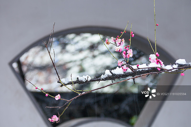 江苏南京雪后风光图片素材