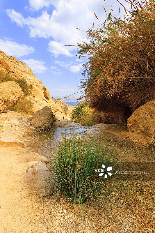 茵革地自然保护区图片素材