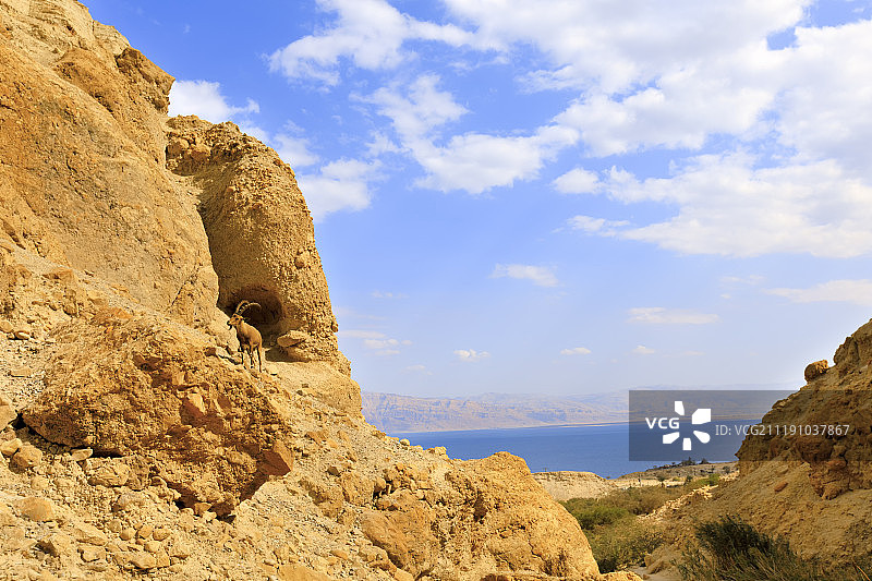 茵革地自然保护区图片素材