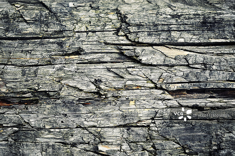 有裂缝和切口的木头细节图片素材