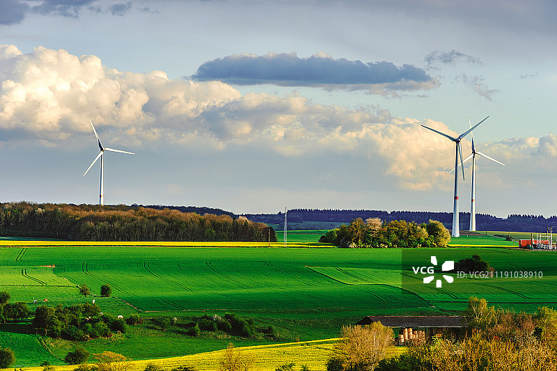 黄色和绿色田野上的风力发电场美景图片素材