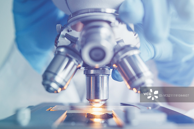 显微镜下检查测试样本特写图片素材