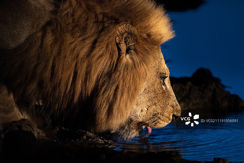 干杯！图片素材