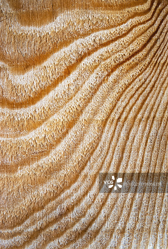 云杉木抽象细节图片素材