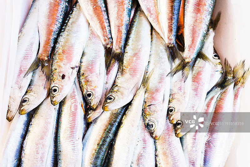 大量捕获的鱼的特写图片素材